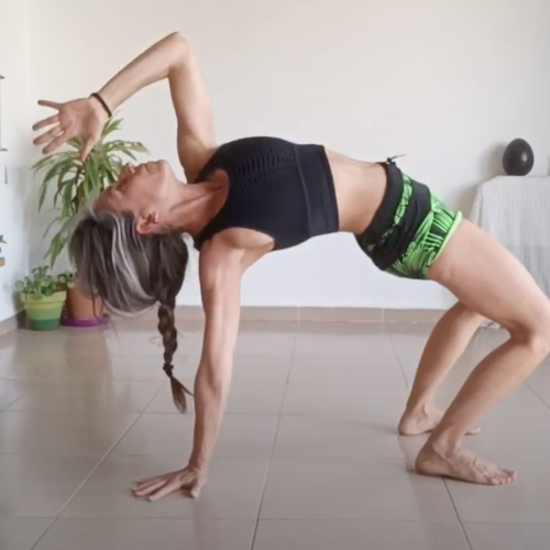 Postura de Animal Vinyasa